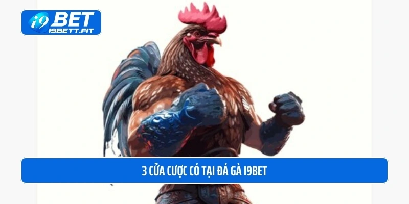 3 cửa cược có tại đá gà i9BET