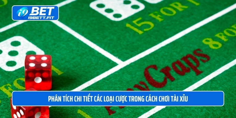 Phân tích chi tiết các loại cược trong cách chơi tài xỉu