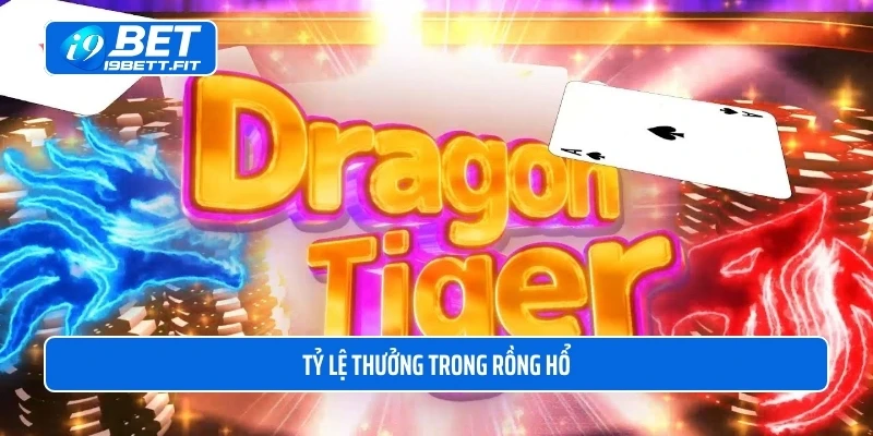 Tỷ lệ thưởng trong Rồng Hổ